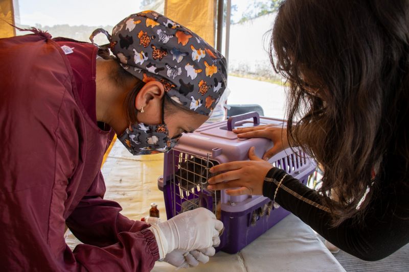 ¡Seguimos trabajando por el bienestar de nuestros peluditos!