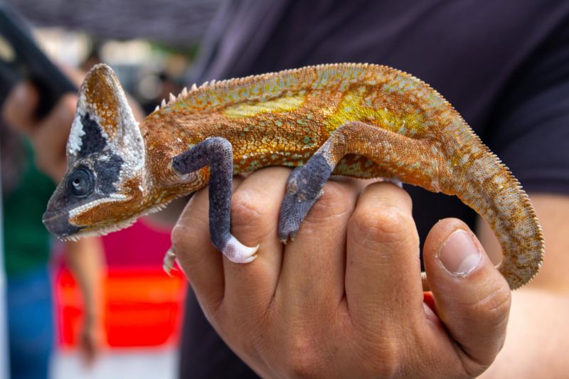 La fauna silvestre acercó el conocimiento y la conservación a las familias de Melchor Ocampo