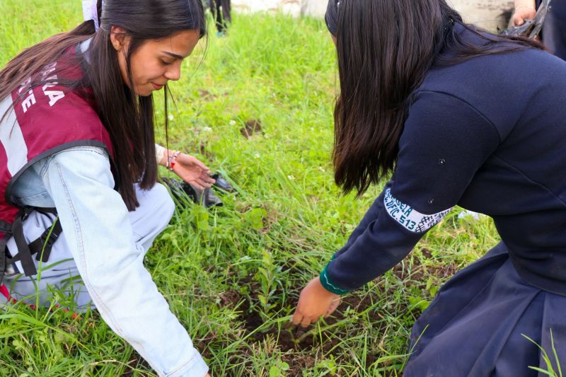 ¡Regresa a Clases Plantando un Árbol!